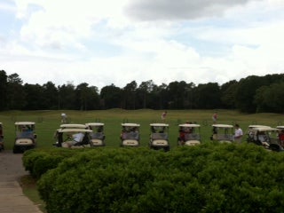 row of golf carts with green trees in background.