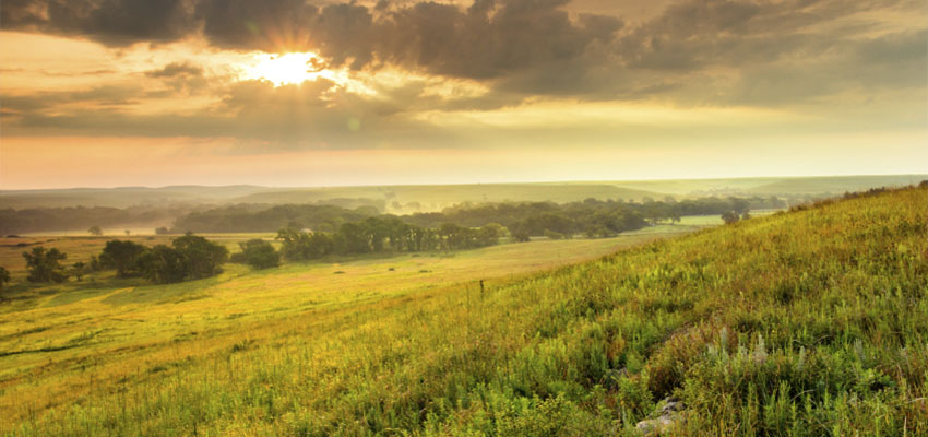 Kansas Landscape