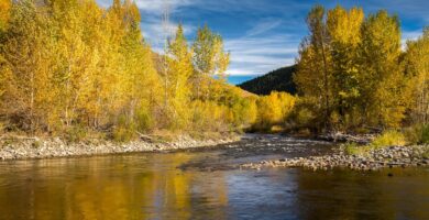 Columbia & Snake Rivers