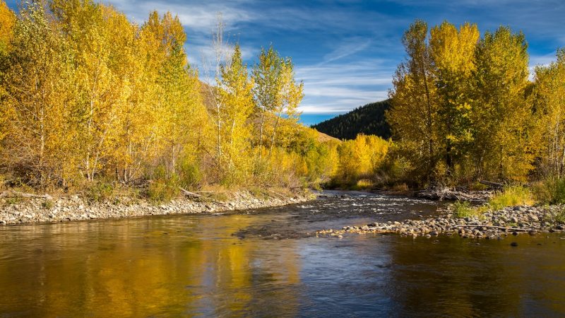 Columbia & Snake Rivers