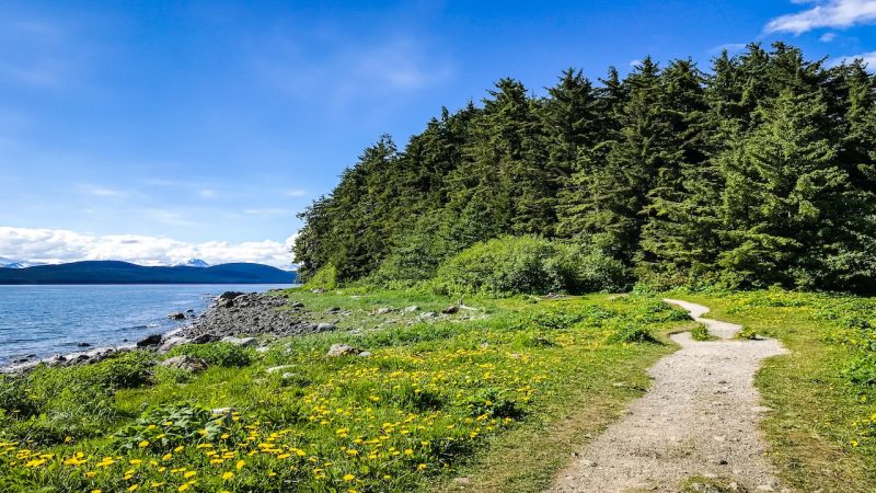 Discover Southeast Alaska