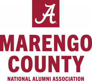 NAA Chapter logo style C