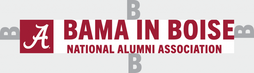 NAA Chapter logo spacing example with logo style A surrounding by the capital letter B on all four sides