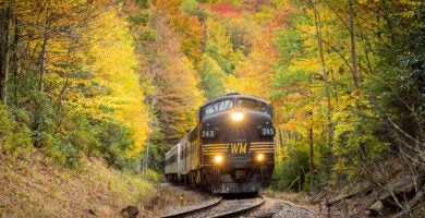 West Virginia Rails & Williamsburg