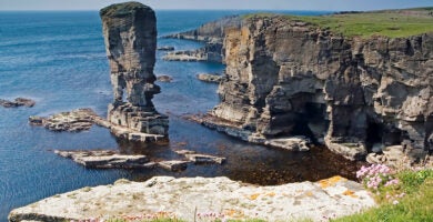 Bountiful British Isles