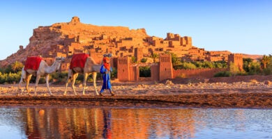 Moroccan Discovery